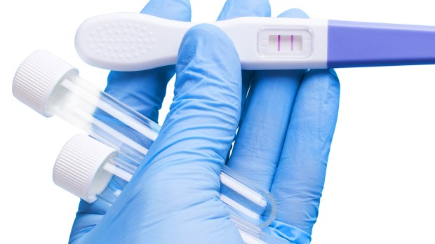 web-pregnancy-fertility-test-tubes-shutterstock_540908233-adragan-ai