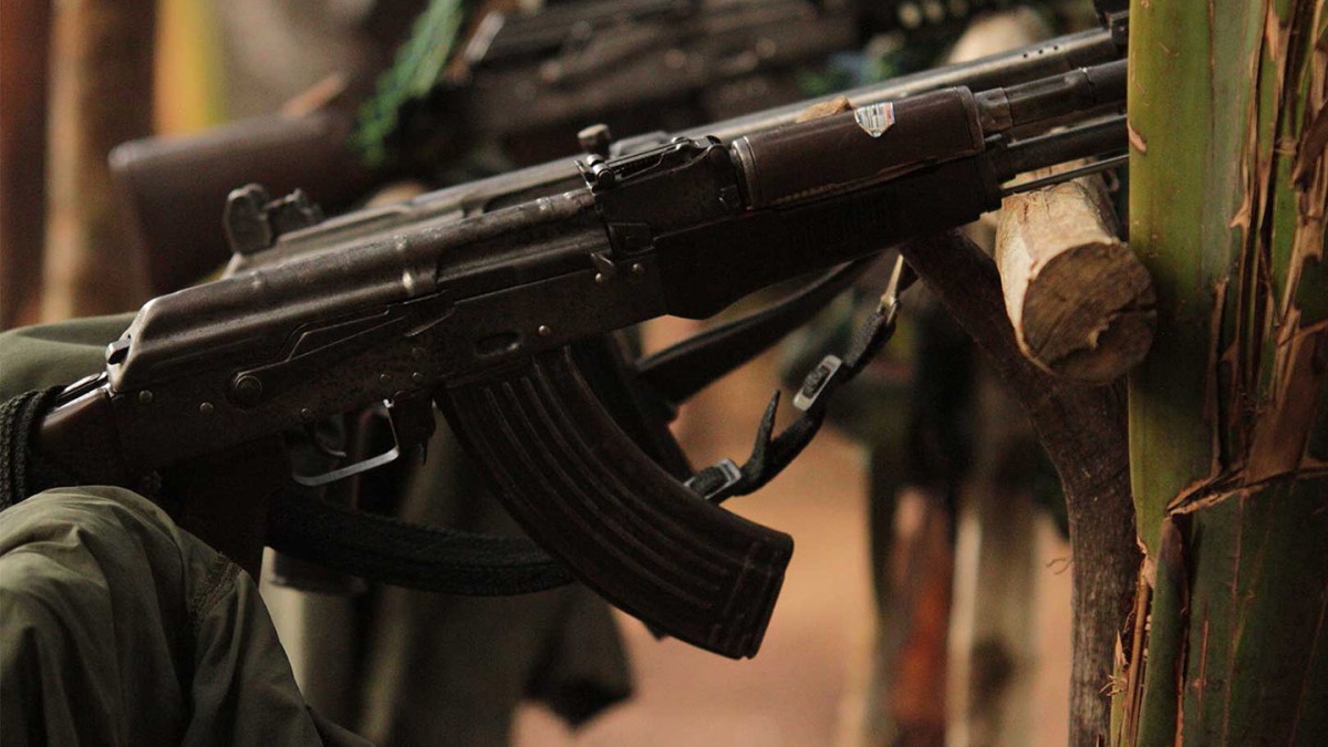 web-colombia-farc-guns-nelson-cardenas-sig