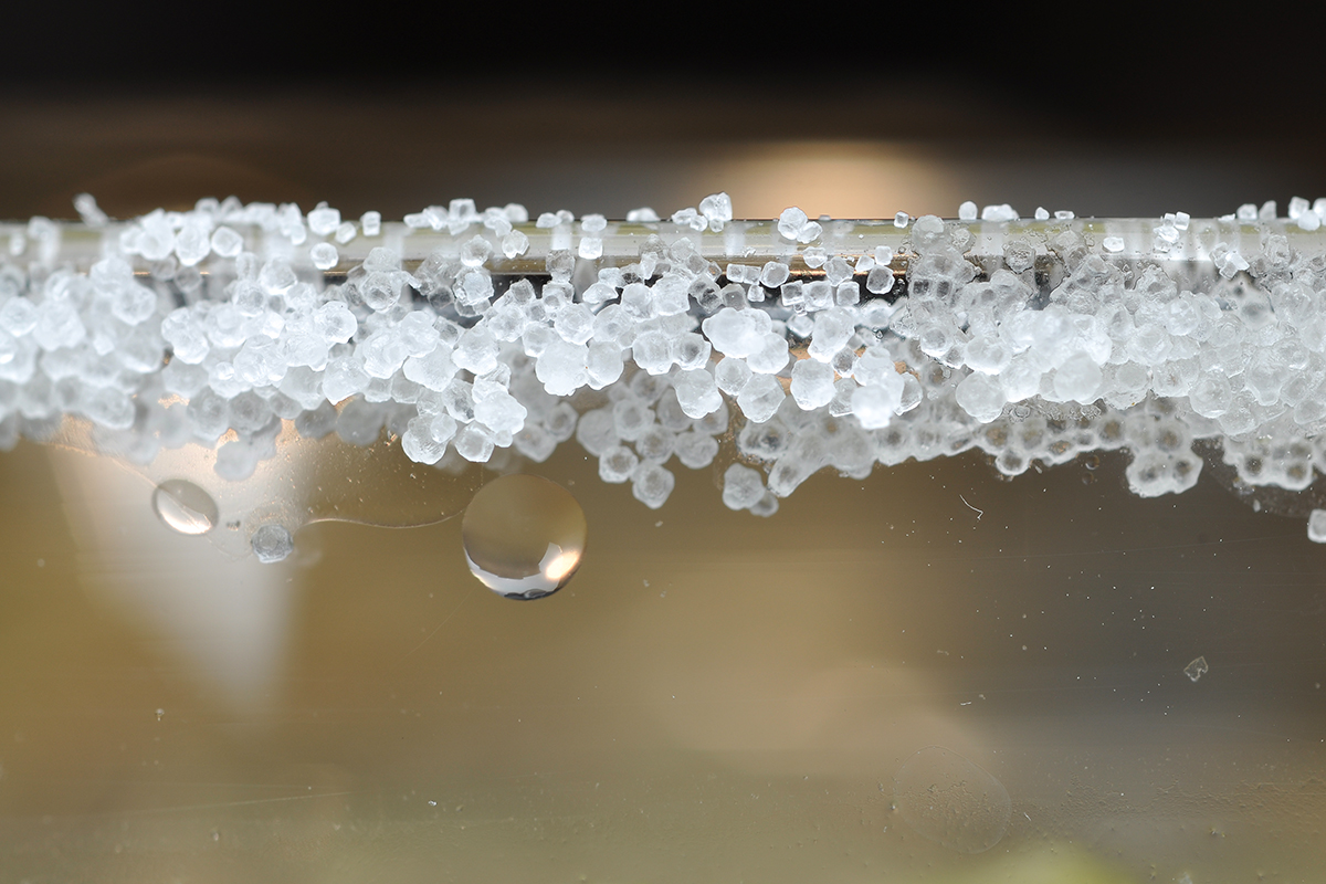 web-salt-crystals-close-up-macro-ben-seese-cc