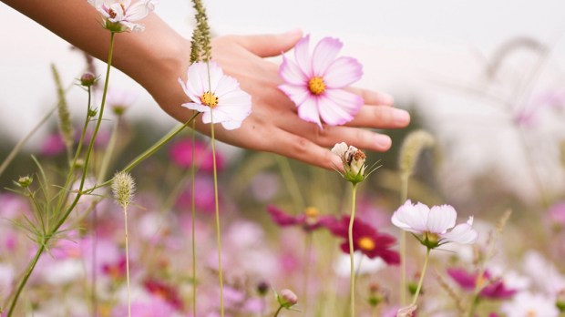 web3-hand-woman-flower-spring-nature-unsplash-cc0.jpg