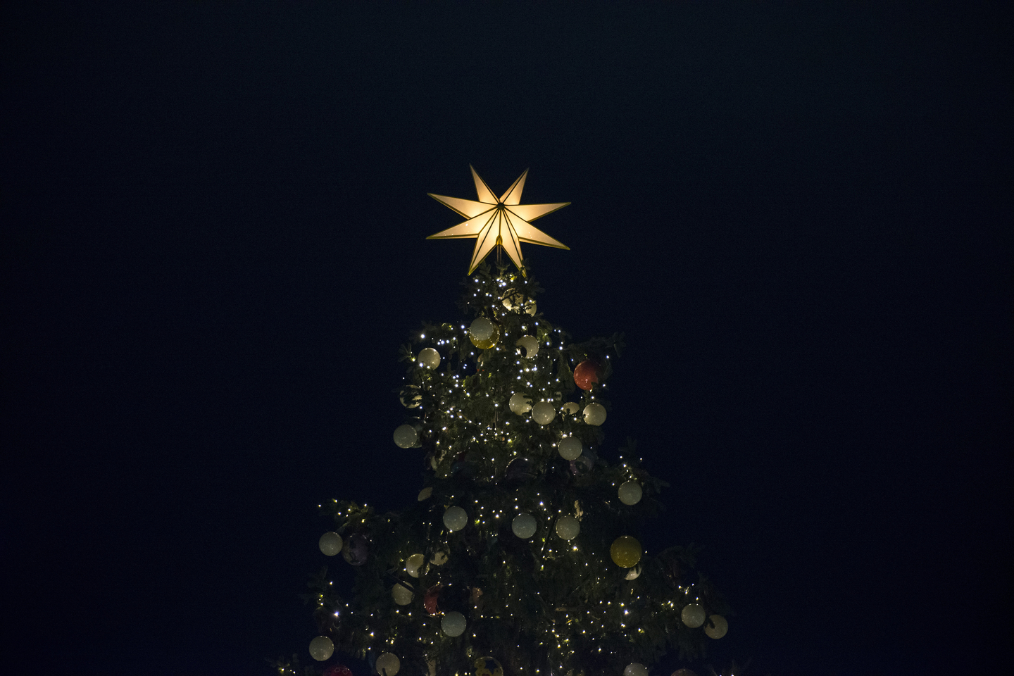 Dorados BESTOYARD Estrella de Árbol de Navidad de Cinco Puntas para Árbol de Navidad Decoración Árbol de Navidad 12 cm 
