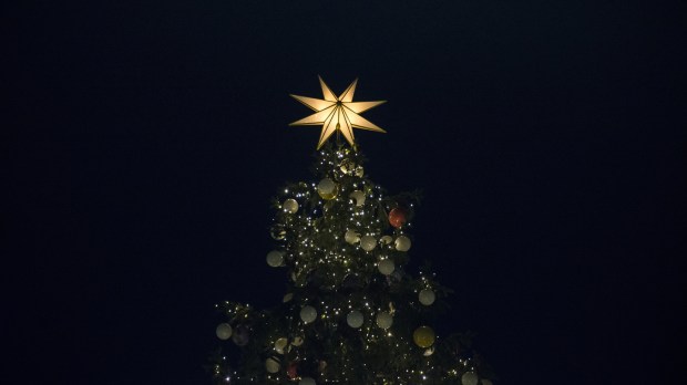 Christmas tree at the Saint Peter&#8217;s square
