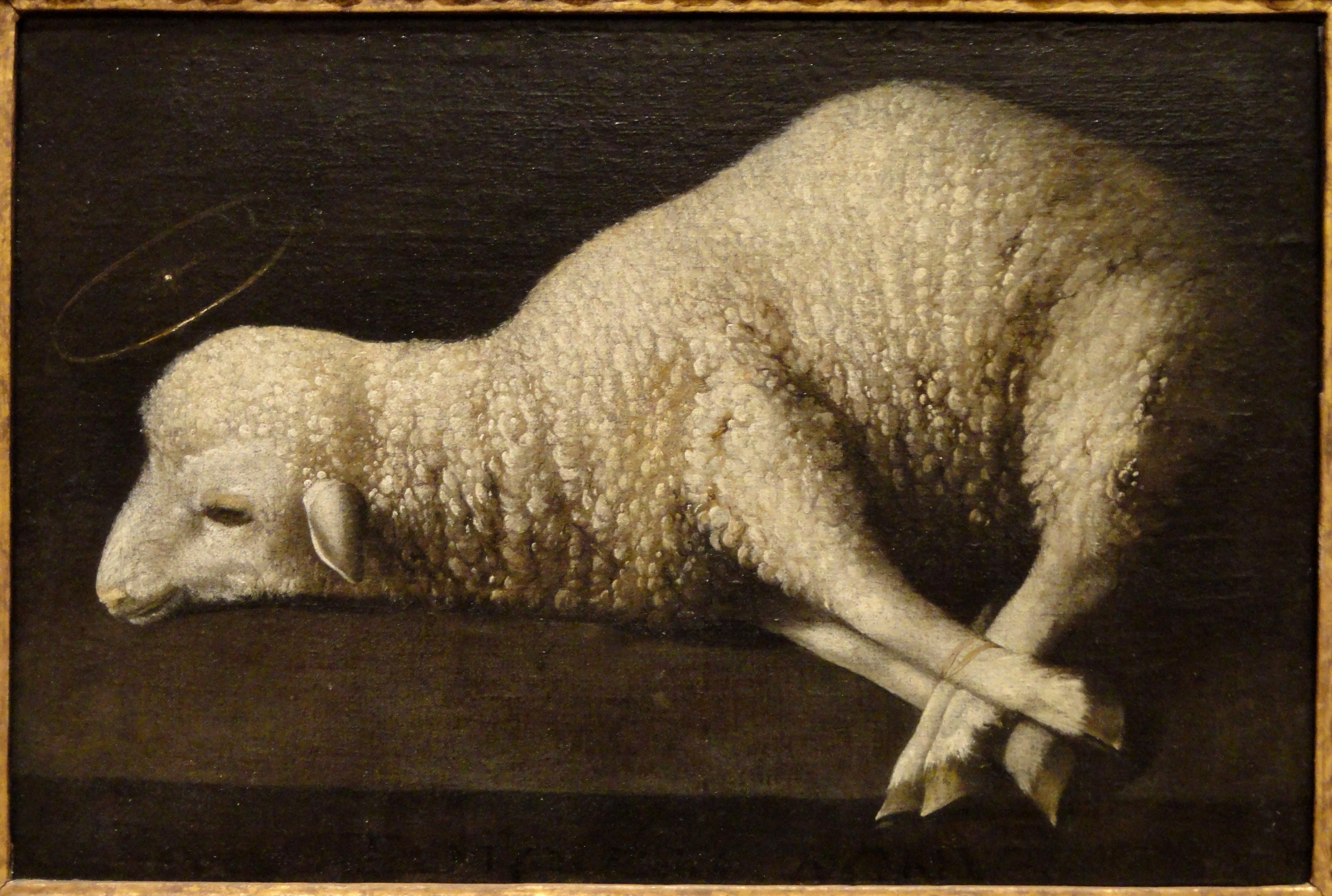 Agnus_Dei_(The_Lamb_of_God),_by_Francisco_de_Zurbaran,_c._1635-1640_-_San_Diego_Museum_of_Art_-_DSC06627_public_domain