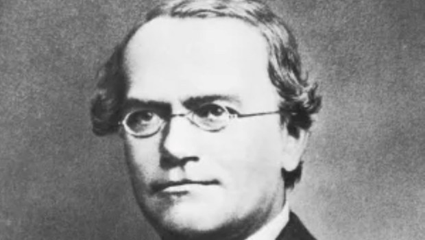 El padre de la genética moderna