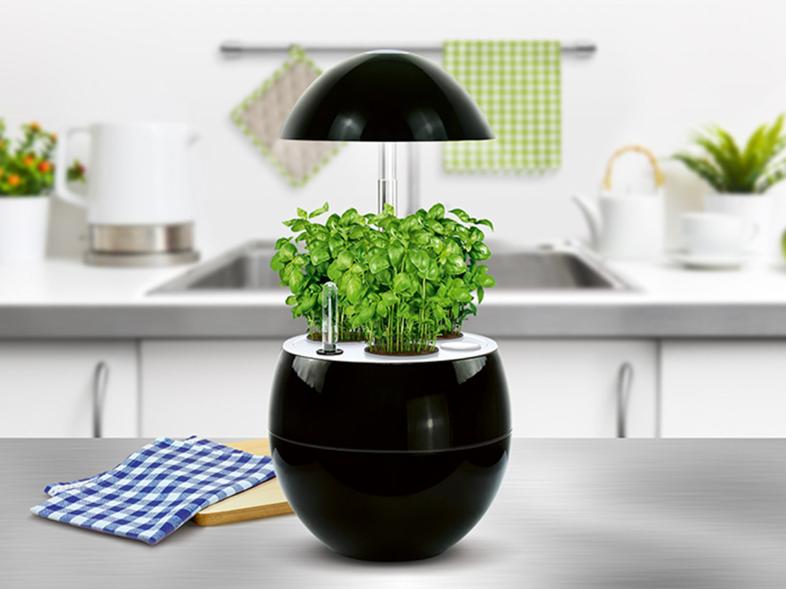 herbes-plantes-aromatiques-faire-pousser-maison-potager-interieur-nelia-kitchen-gardening