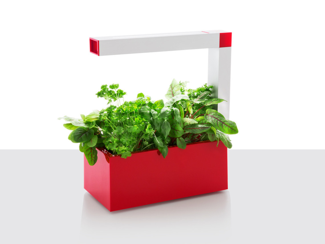herbes-plantes-aromatiques-faire-pousser-maison-potager-interieur-tregren