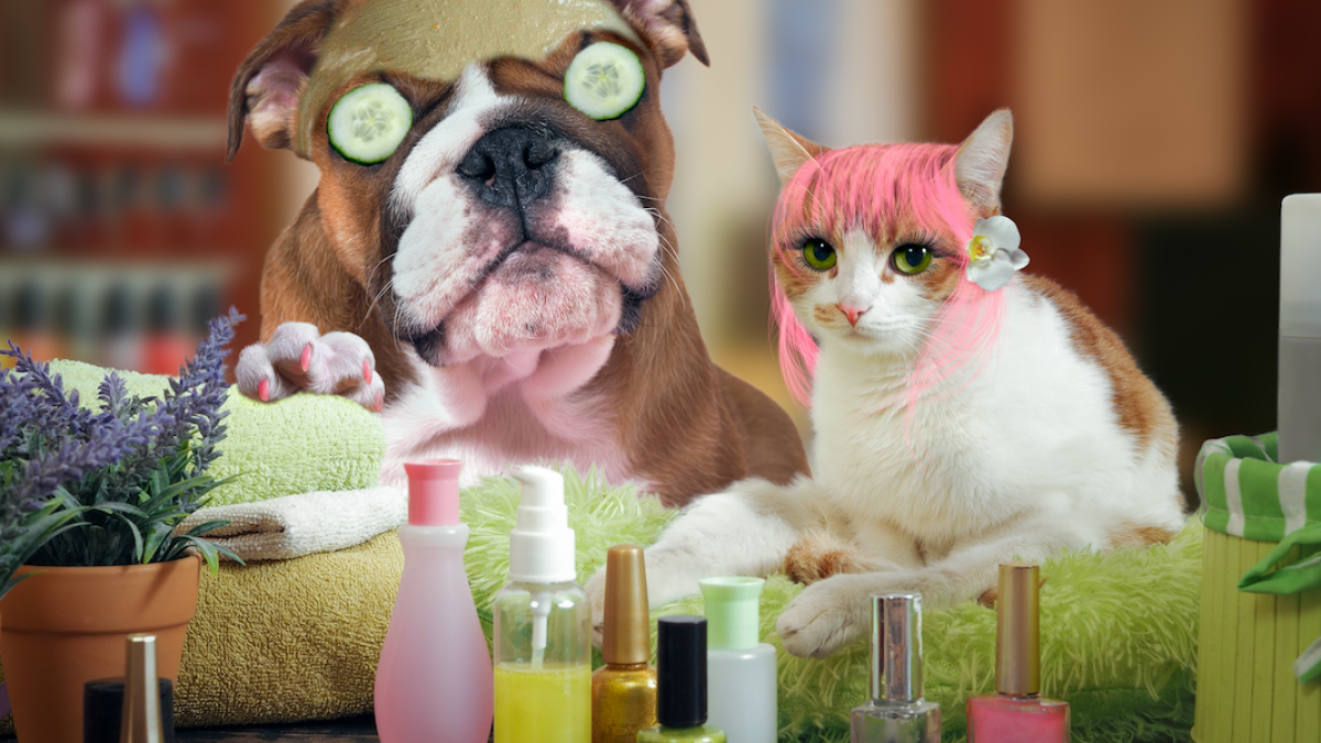 maquillaje cruelty free