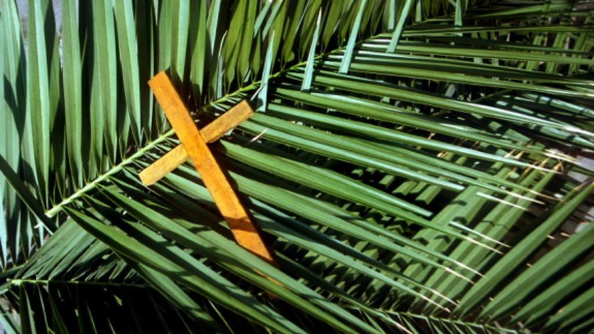 palmscross-e1333191725329