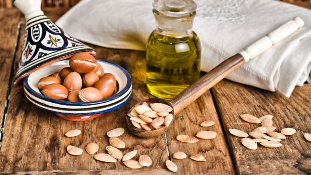 WEB-Argan fruits and seed with Argan oil-shutterstock_113316733-Luisa Puccini-AI