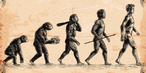 Darwin lo dijo: la evolución no es incompatible con la creación