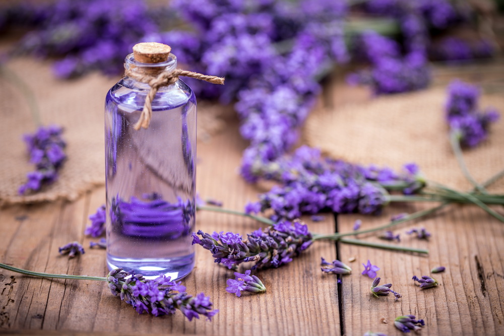 WEB-Fresh lavender flowers with massage oil-shutterstock_452622649-grafvision-AI