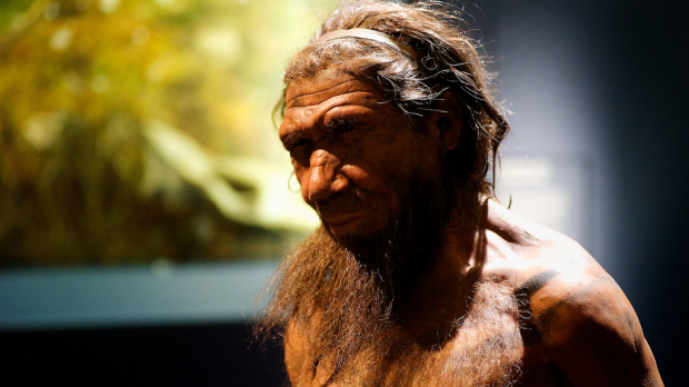 web-neanderthal-news-found-cave-paul-hudson-cc