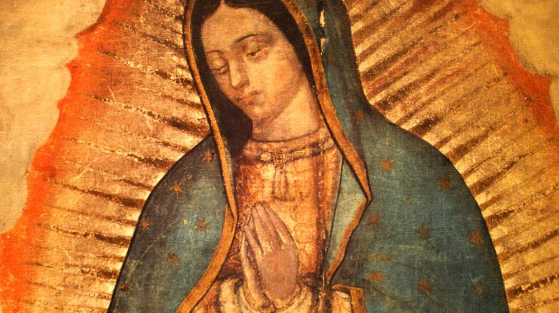 web-our-lady-of-guadalupe-full-size-god