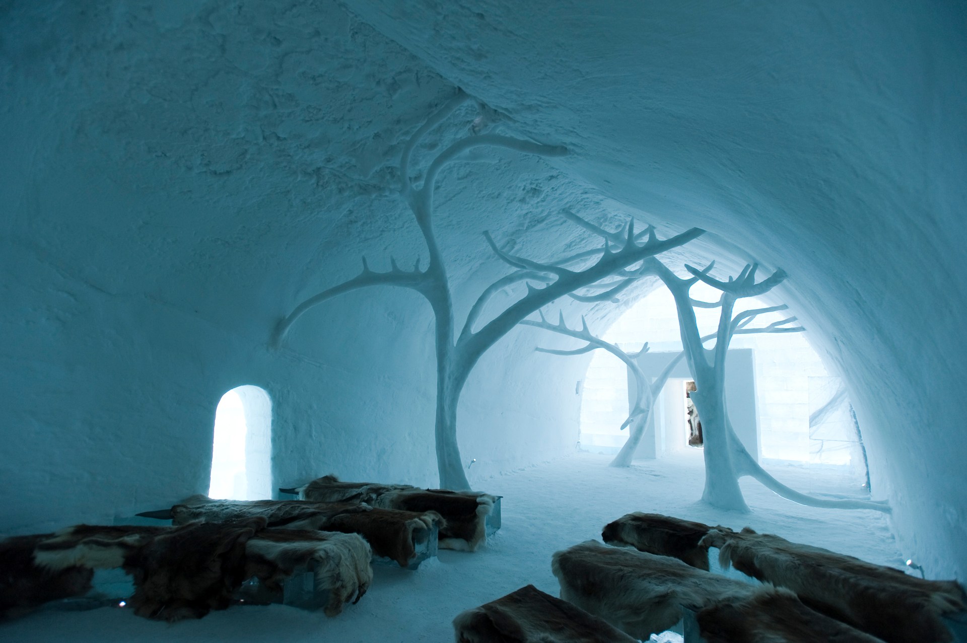 WEB PORTFOLIO CHURCHES ICE HOTEL CHAPEL INSIDE TREES BERTHIER Emmanuel : hemis.fr AI