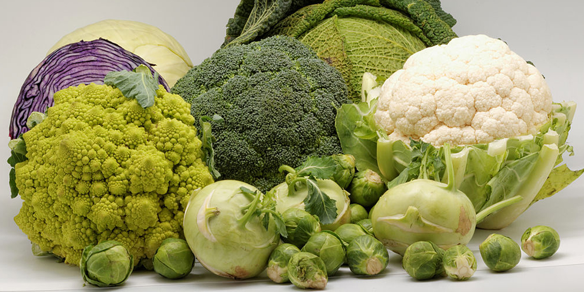 WEB3 CRUCIFEROUS VEGETABLES BROCCOLI KALE BRUSSEL SPROUTS CABBAGE Coyau Wikimedia Commons