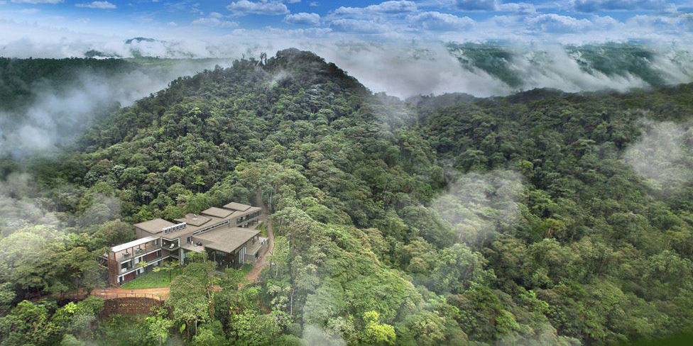 WEB3-ECUADOR-FOREST-HOTEL-1-mashpilodge.com