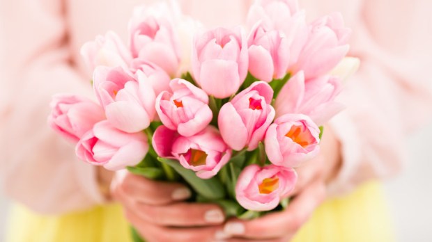 WEB3-FLOWERS-PINK-Bunch of tulips in woman&#8217;s hand-shutterstock_380233066-nioloxs-AI