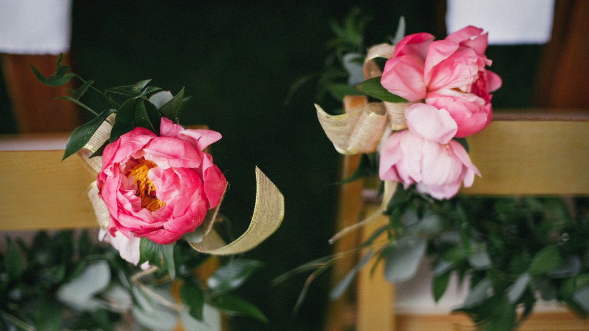 web3-rose-flowers-green-beauty-daring-wanderer-stocksy-united.jpg