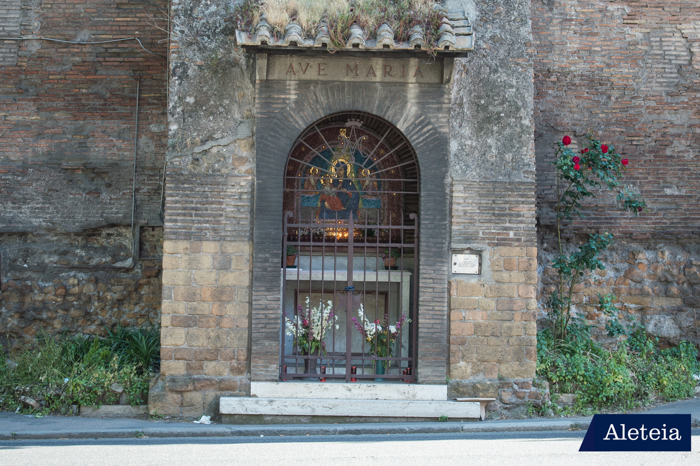 Our Lady of Divine Love &#8211; MD015