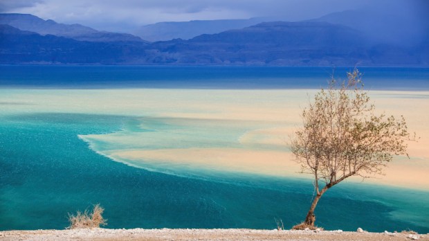 Landscape At The Dead Sea