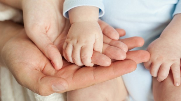 web hands parents kid ©De Iryna Prokofieva:Shutterstock