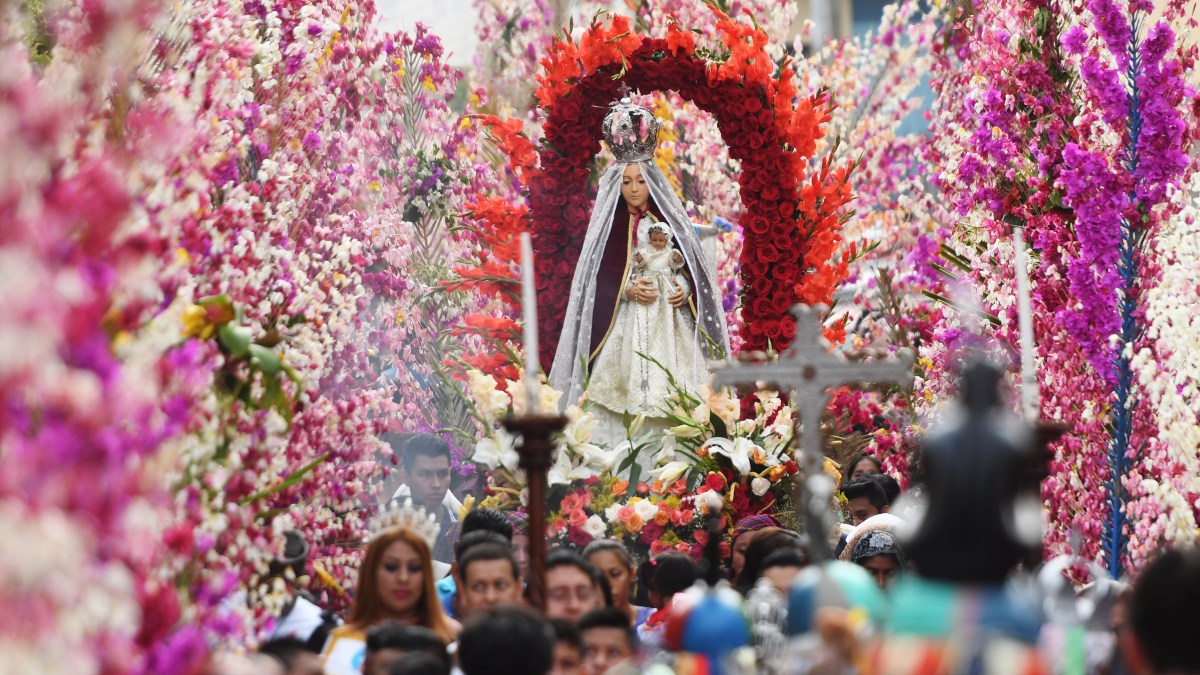 SALVADOR-RELGION-FLOWER-FESTIVAL