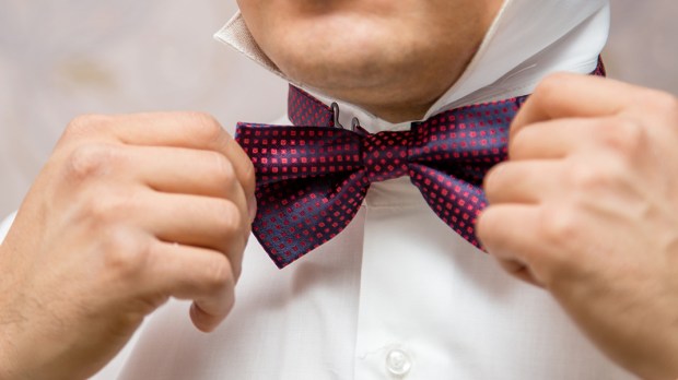 web3-bow-tie-elegance-gentleman-shutterstock