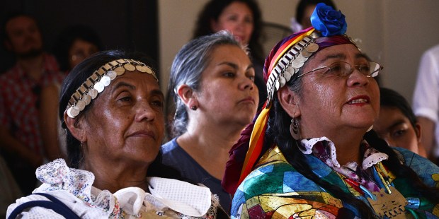 Mapuches