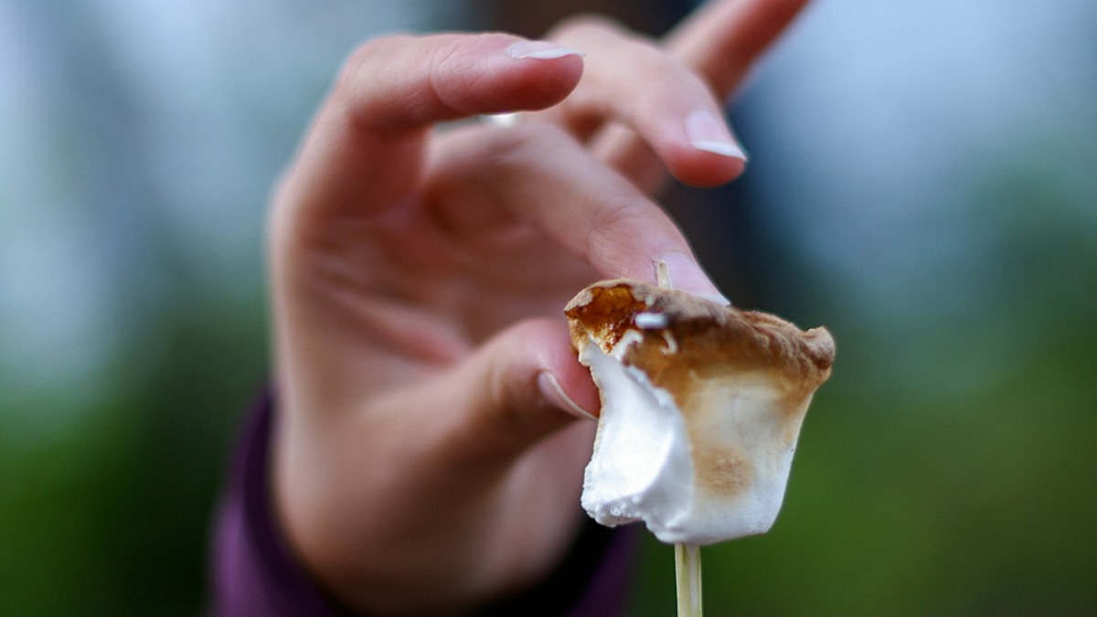 WEB3-MARSHMALLOW-HAND-STICK-STICKY-GOOEY-tukanuk-Flickr