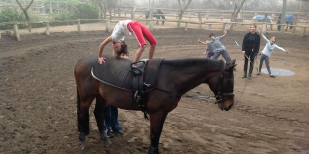 Vaulting Peru