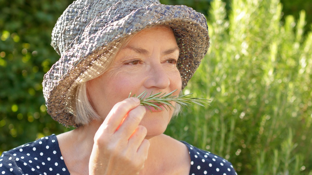 WEB3 WOMAN SMELLING ROSEMARY GARDEN HAT ELDERLY Shutterstock