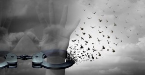 Conoce a los monjes que se dedican a liberar