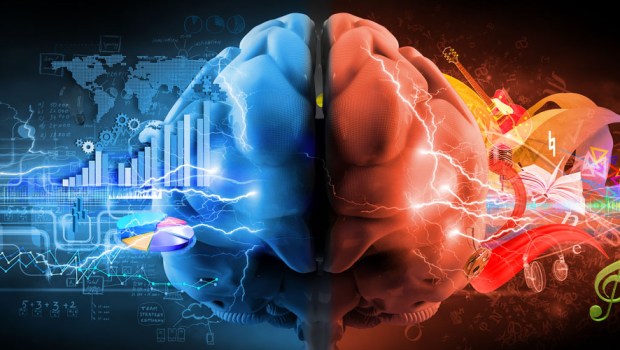 BRAINS