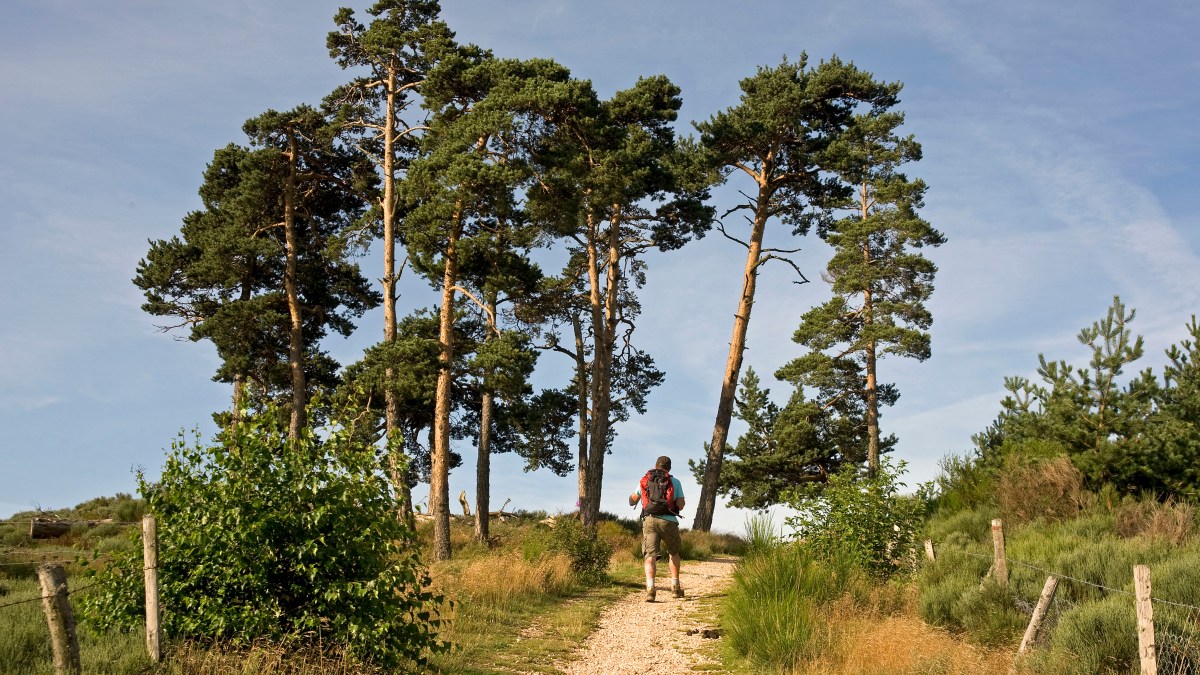 FRANCE – AUBRAC – SUR LES CHEMINS DE COMPOSTELLE