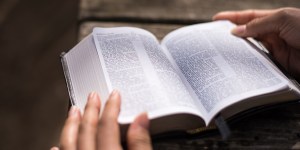 ¿Que términos son los más usados en la Biblia?