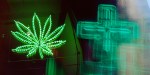 CANNABIS