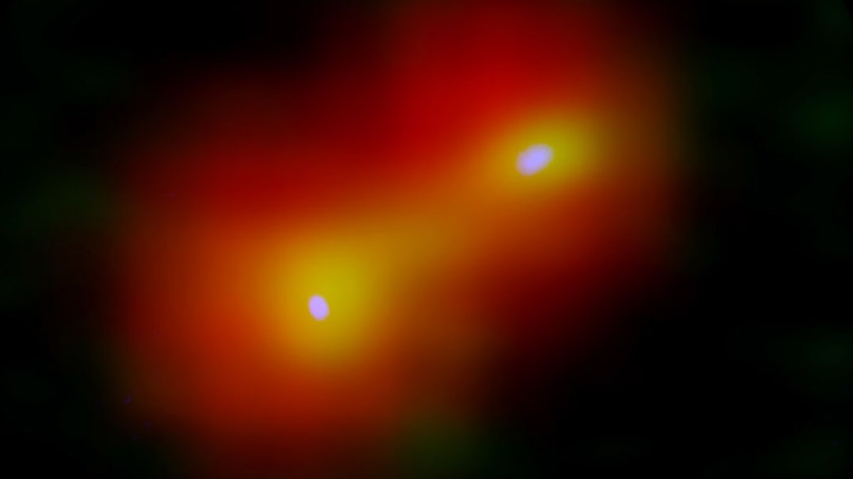 STARS