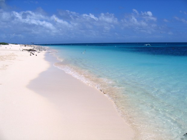 michaelmas cay