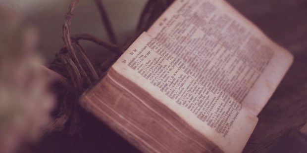 BIBLE