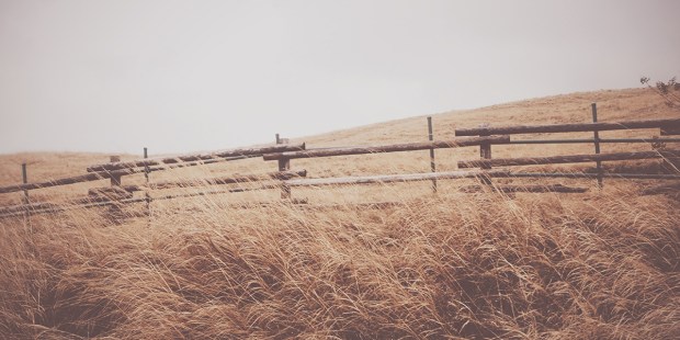 FENCE