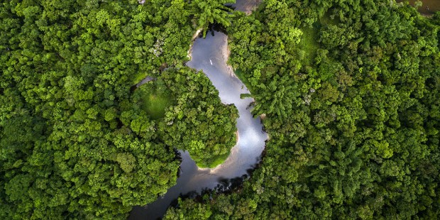 AMAZONIA