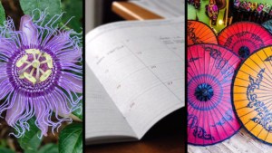 web3-jesuit-inventions-passion-flower-calendar-umbrellas-comp-cc