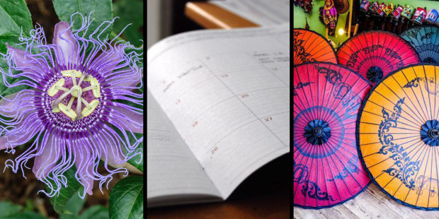 web3-jesuit-inventions-passion-flower-calendar-umbrellas-comp-cc