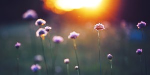 Oración para vivir por encima de las apariencias