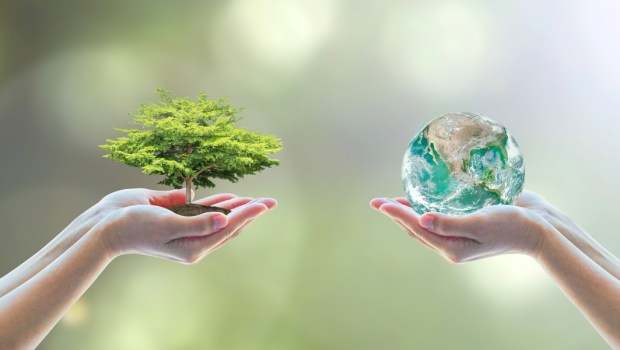 ecology, environment; day; ecology; world; biology; engineer; earth; eco; nature; planet;