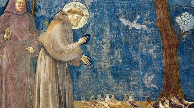 São Francisco de Assis prega aos passarinhos - Giotto