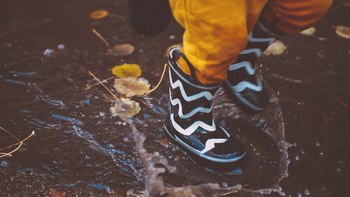 PUDDLE