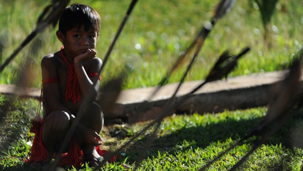 BRAZIL INDIGENOUS