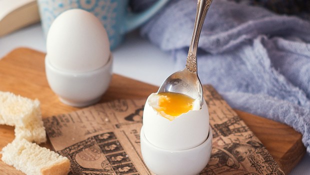 EGGS