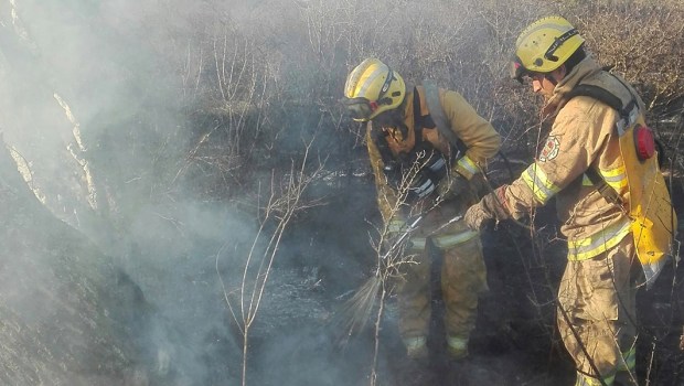 FIREMEN